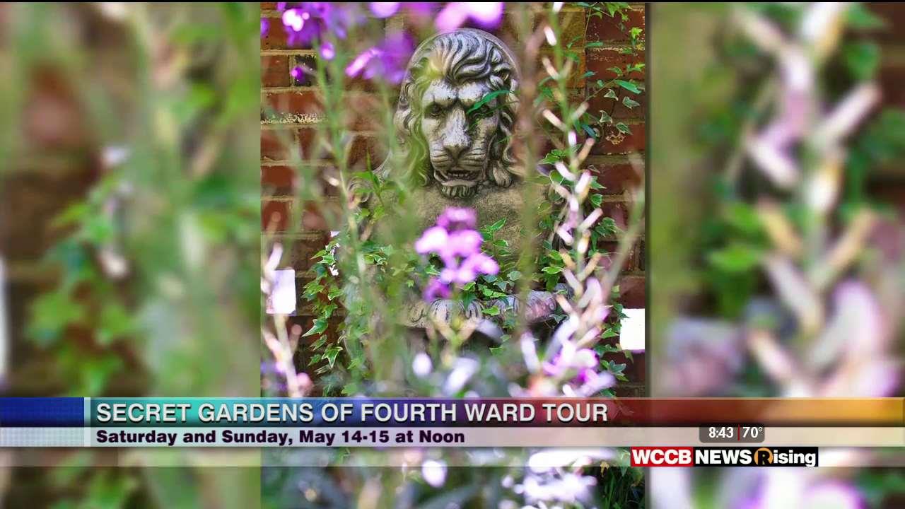 Charlotte Happenings With Moira Quinn WCCB Charlotte's CW