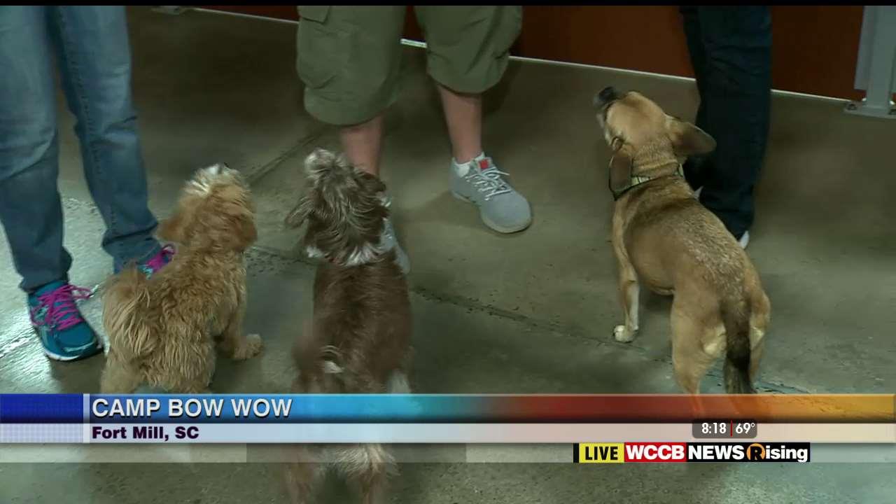 k9 advantix vs frontline