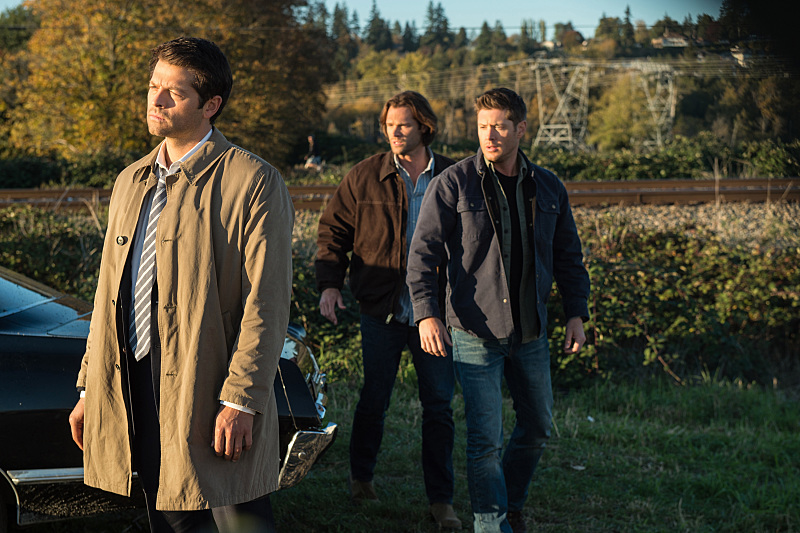 Supernatural --"LOTUS"