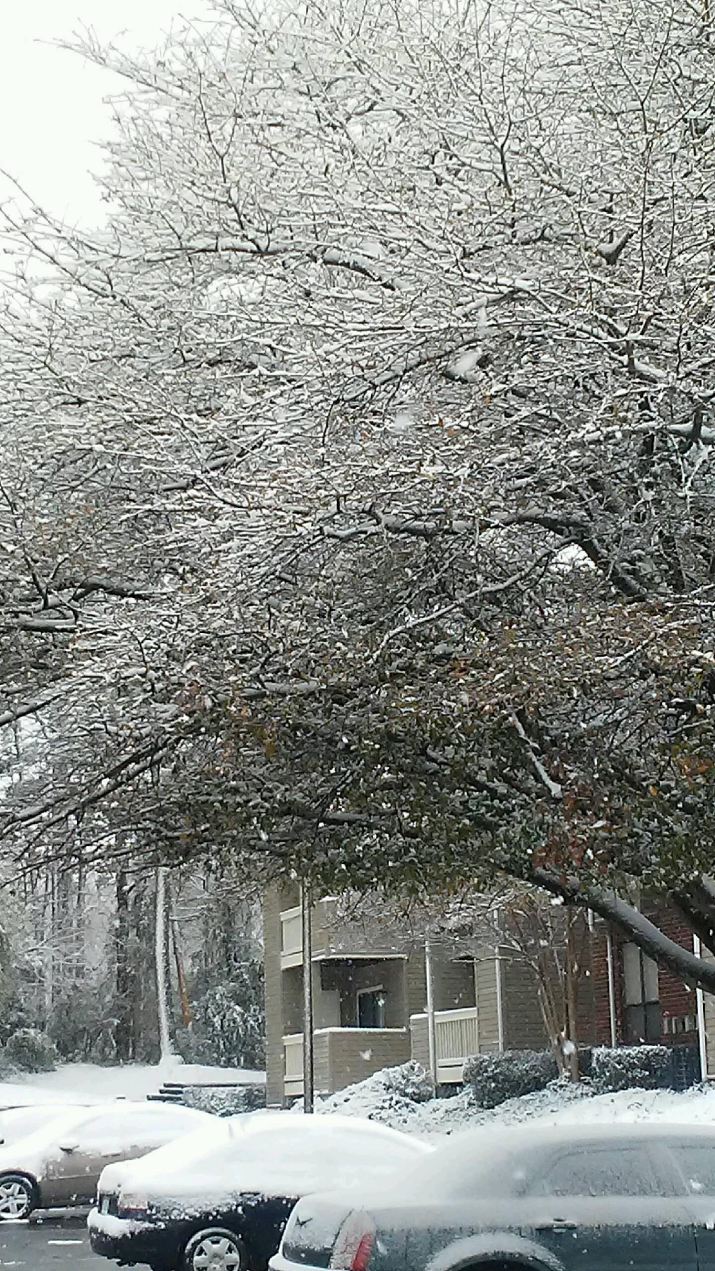Snow Pictures 1 - WCCB Charlotte