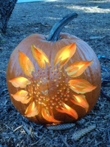 Sunflower Pumpkin Carving - WCCB Charlotte's CW