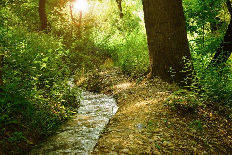 Photo of stream