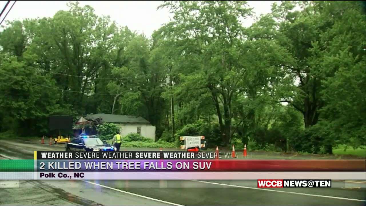 Reporter, Photographer Killed When Tree Falls on SUV WCCB Charlotte's CW