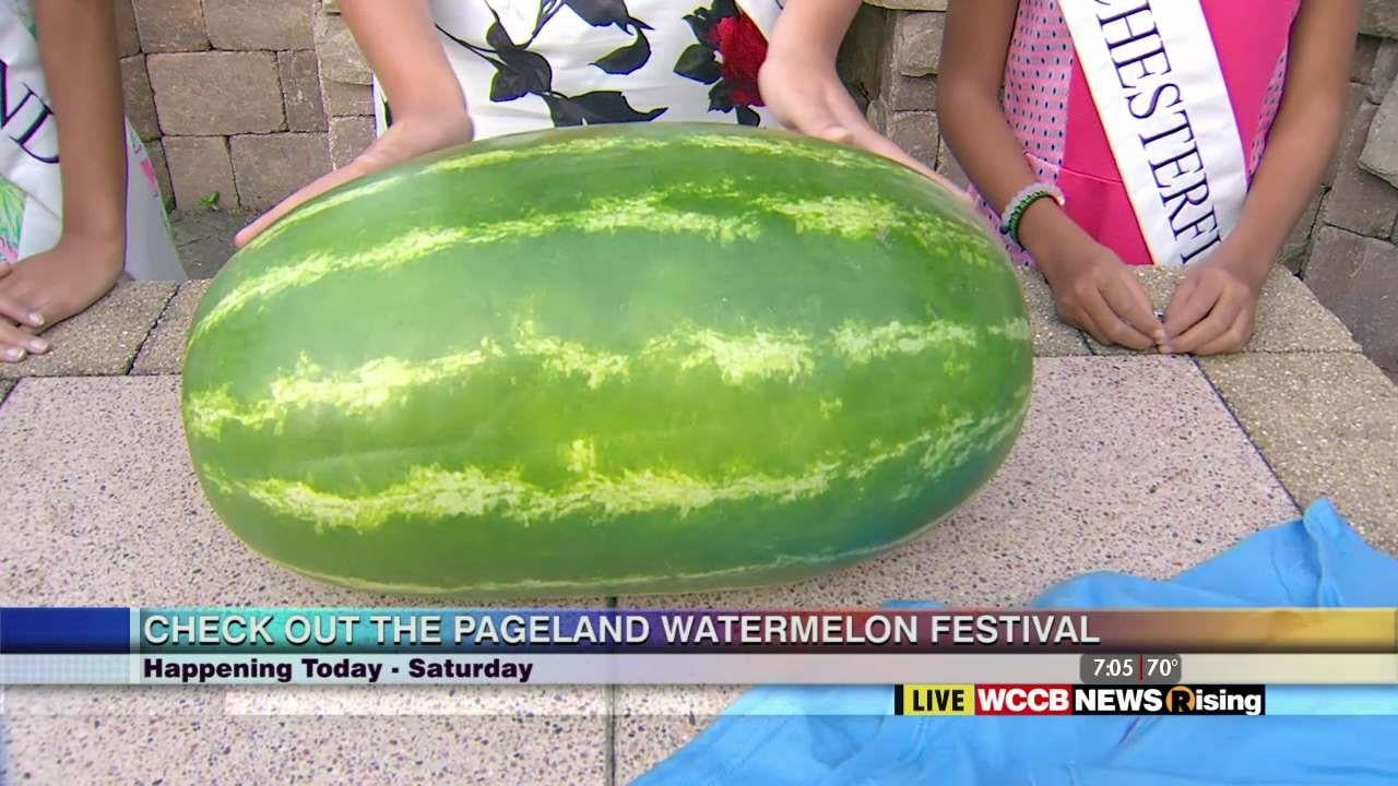 Check out the Pageland Watermelon Festival! WCCB Charlotte's CW