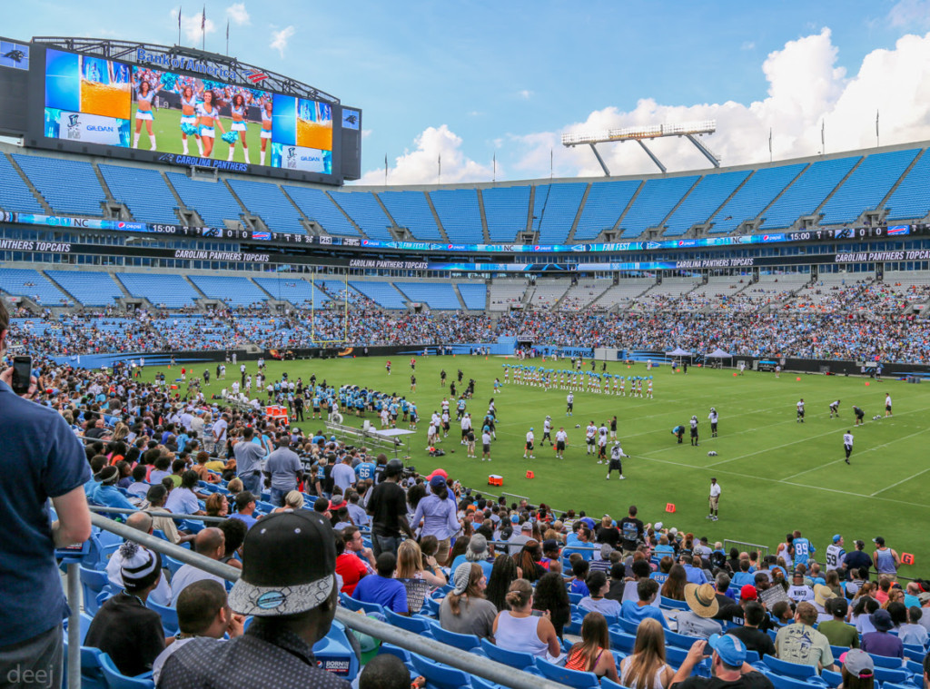 Section 233 at Bank of America Stadium 