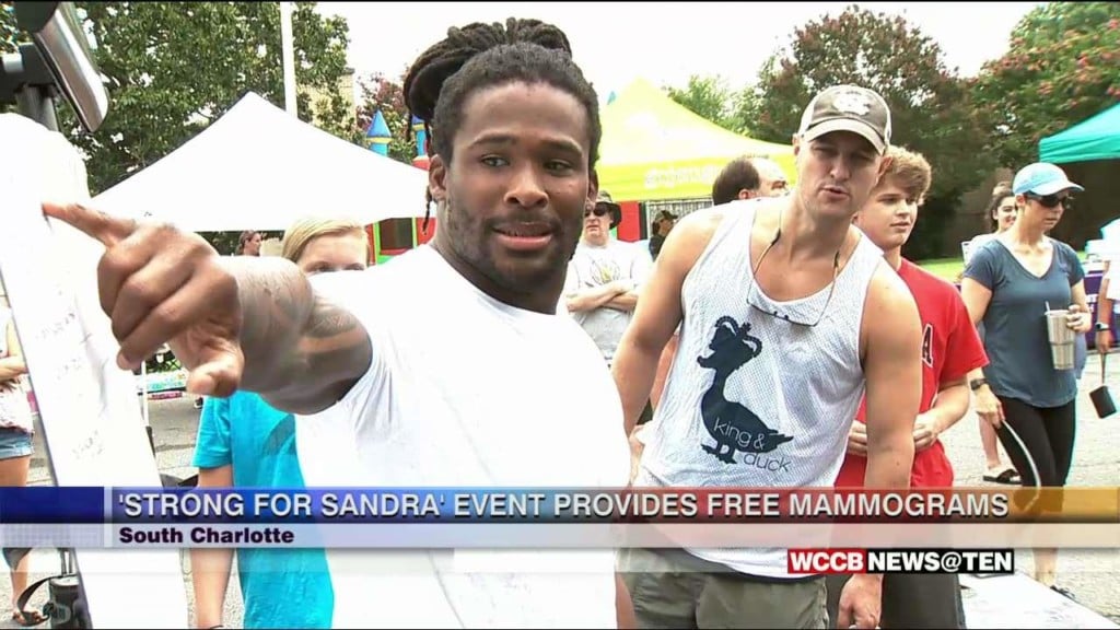 Panthers 2018 Fan Fest Set For August 3rd - WCCB Charlotte's CW