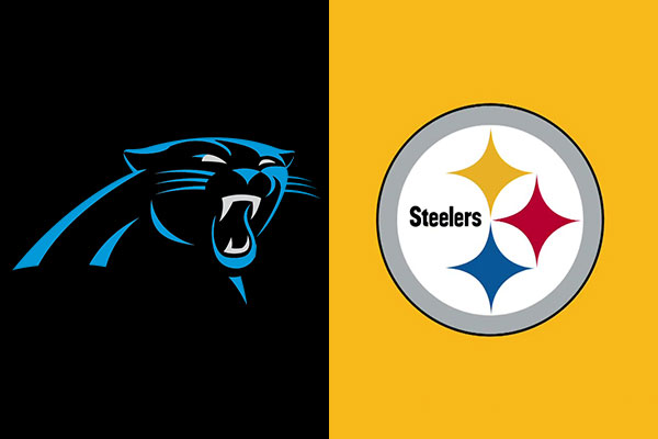 pittsburgh steelers panthers