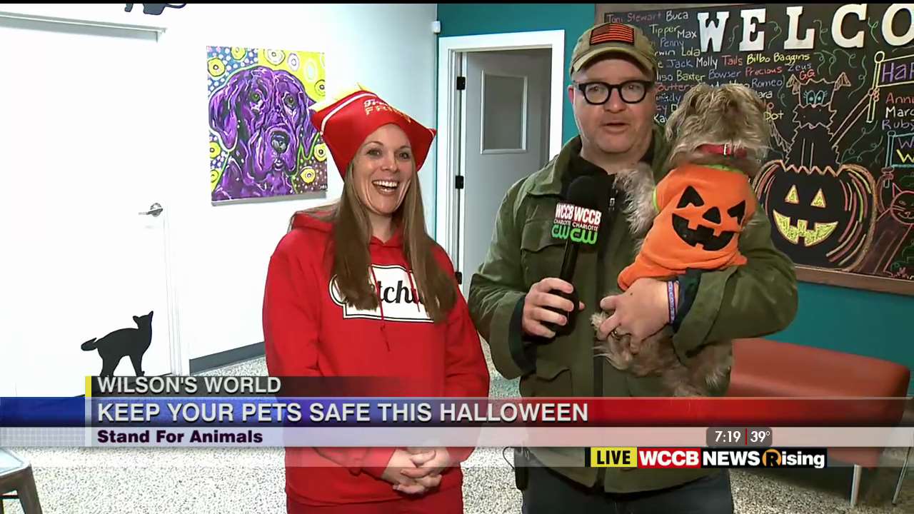 Wilson's World Halloween Pet Safety at Stand for Animals Veterinary Clinic WCCB Charlotte's CW