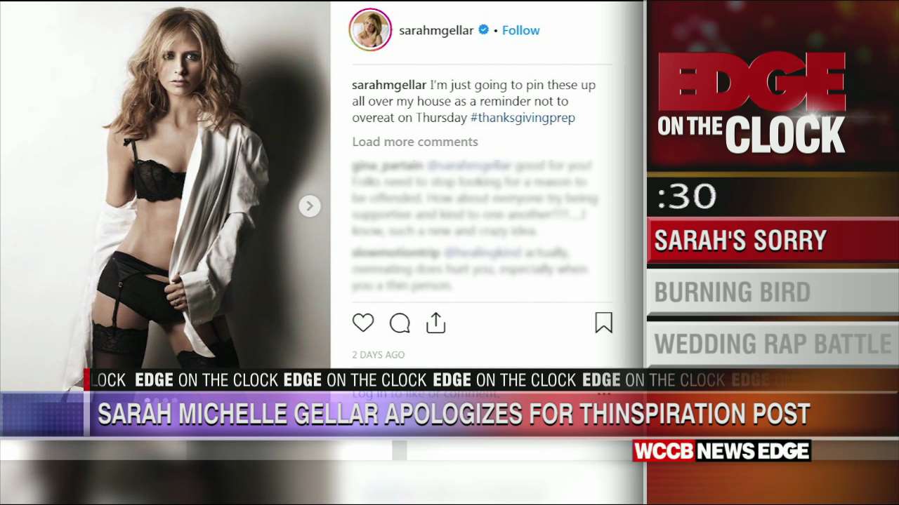 Sarah Michelle Gellar Apologizes For Her Thanksgiving