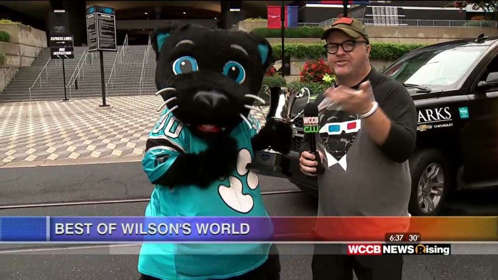 Gearing Up in Style with Wilson at the Panthers Team Store - WCCB  Charlotte's CW