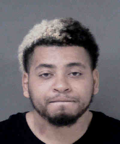 Dana Denena Resisting Public Officer Second Degree Trespass - WCCB