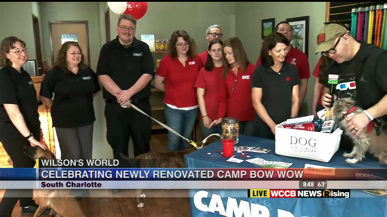 Camp Bow Wow Port Charlotte