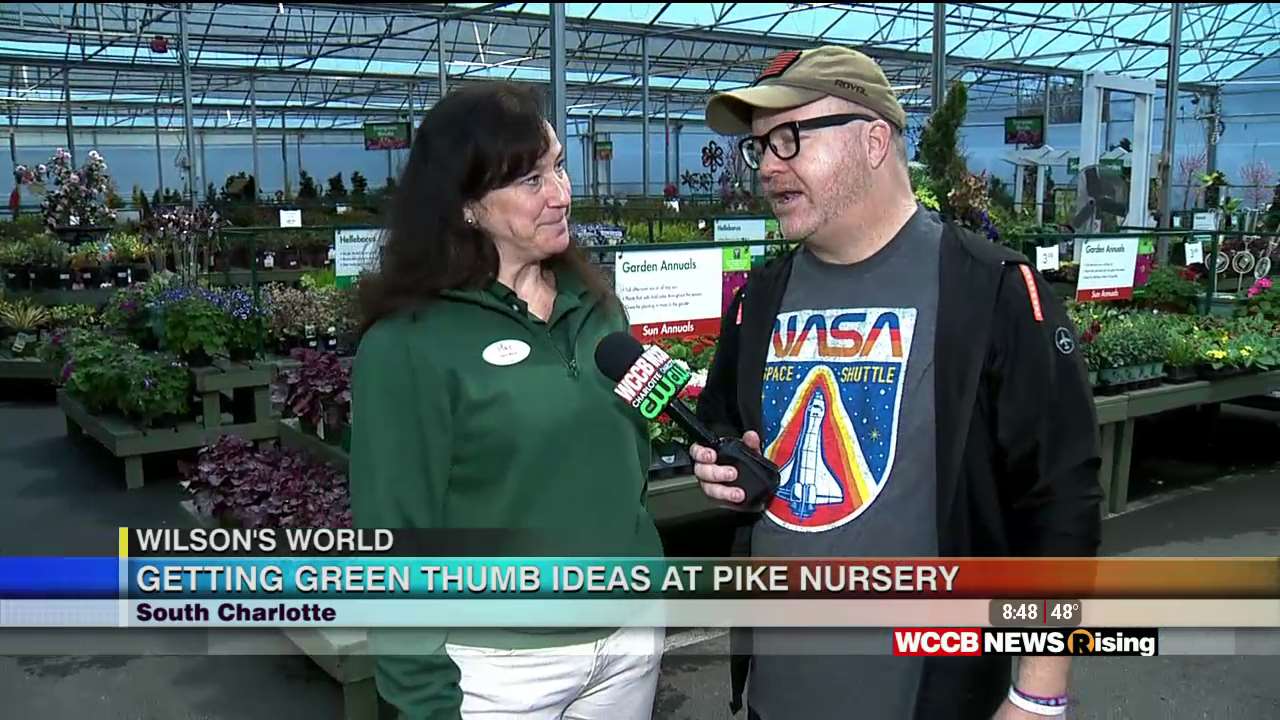 Wilson's World Getting Spring Green Thumb Ideas at Pike Nurseries