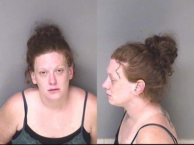 Julia Driscoll Burglary Kidnapping Felonious Restraint - WCCB Charlotte ...