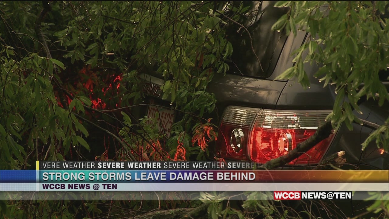 Strong Storms Take Down Several Trees Across The City - WCCB Charlotte