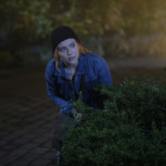Nancy Drew -- 