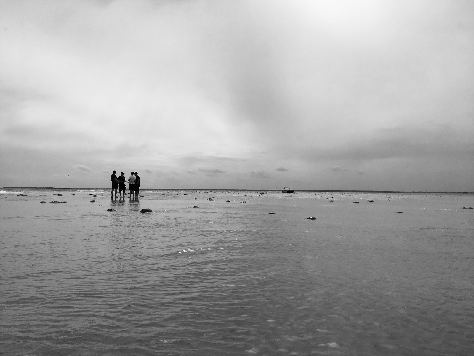 The Peanut Butter Falcon Photo 002 WCCB Charlotte's CW