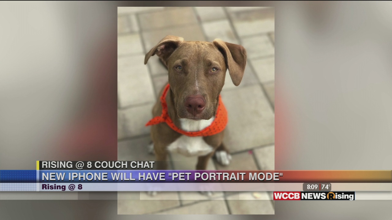 New iPhone Will Have Pet Portrait Mode WCCB Charlotte's CW