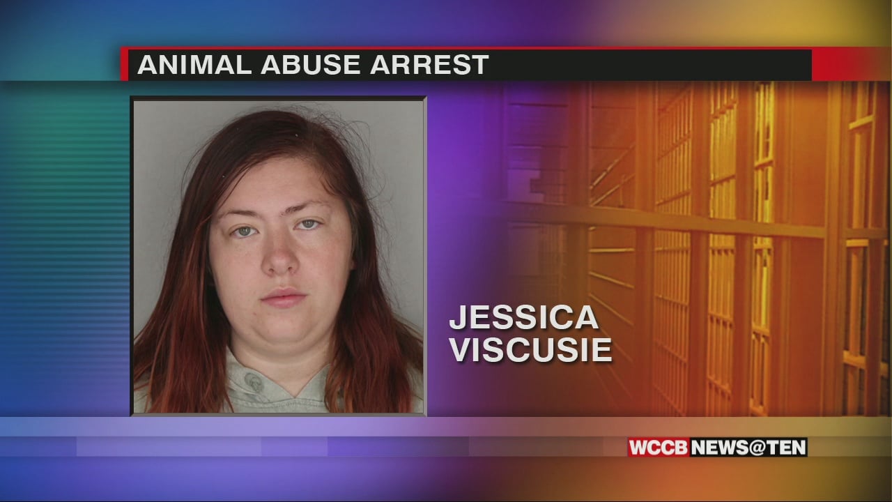 Local Dog Trainer Turns Herself In On Felony Animal Cruelty Charges ...