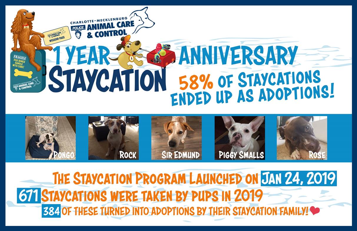 CMPD Animal Care &amp; Control�s Staycation Program Celebrates