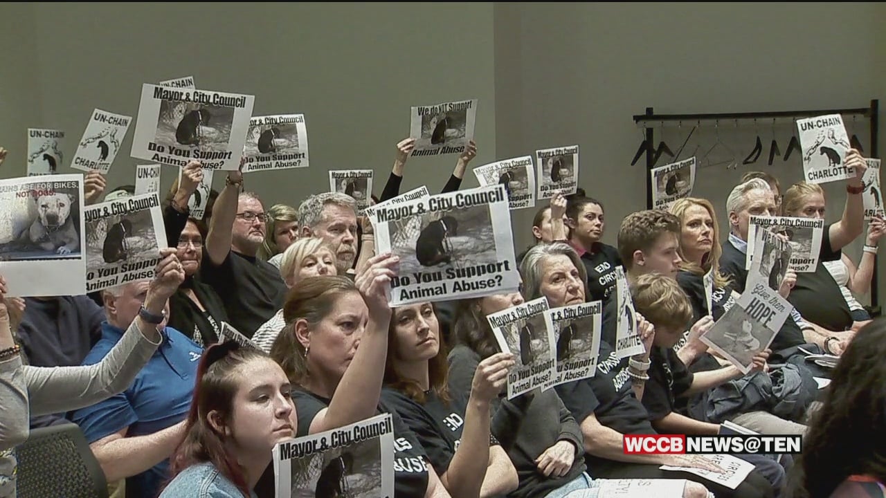 Charlotte City Council Decides Against Ban on Unattended Dog Tethering ...