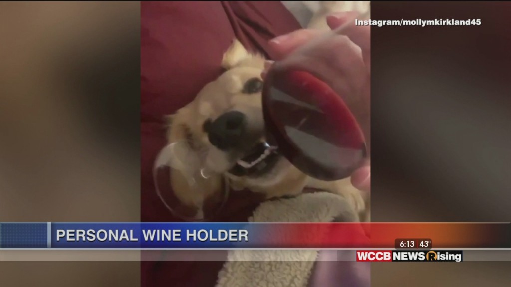 Viral Videos: Bus Driver Dances With Little Girl, Opera Singing Barista, Wine Holding Puppy