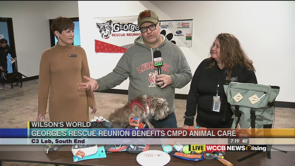 Wilson's World: Previewing George's Rescue Reunion With Cmpd Animal Care & Control