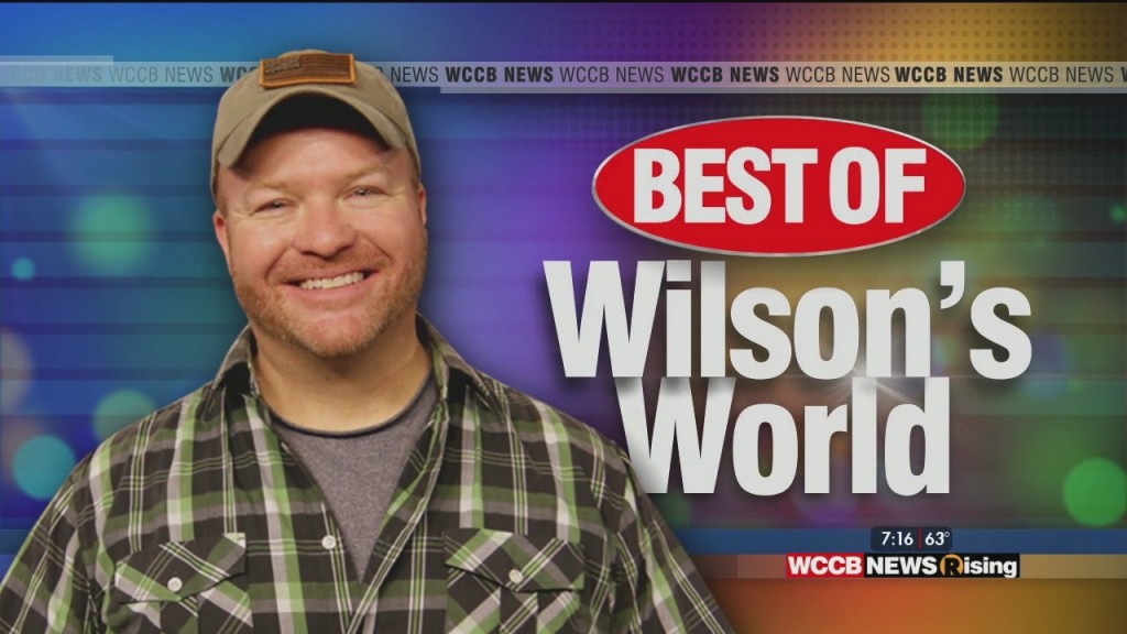 Best Of Wilson's World: Knights, Marcel The Monkey, School Of Rock, Bumblebee, Dry Pro, Carolina Show Ski