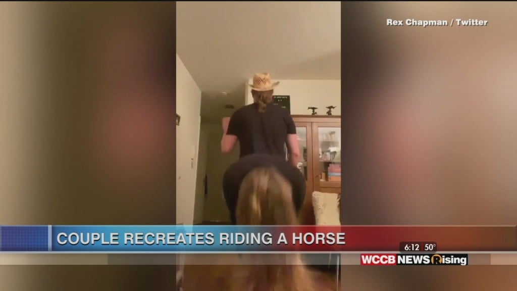 Viral Videos: Human Horse And Dancing Zookeeper