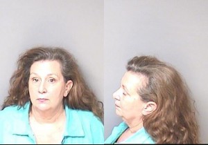 Rebecca Hecht Larceny Deactivating Antishoplifting Device