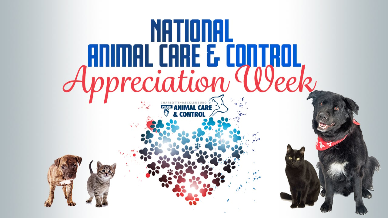 National Animal Care & Control Appreciation Week WCCB Charlotte's CW