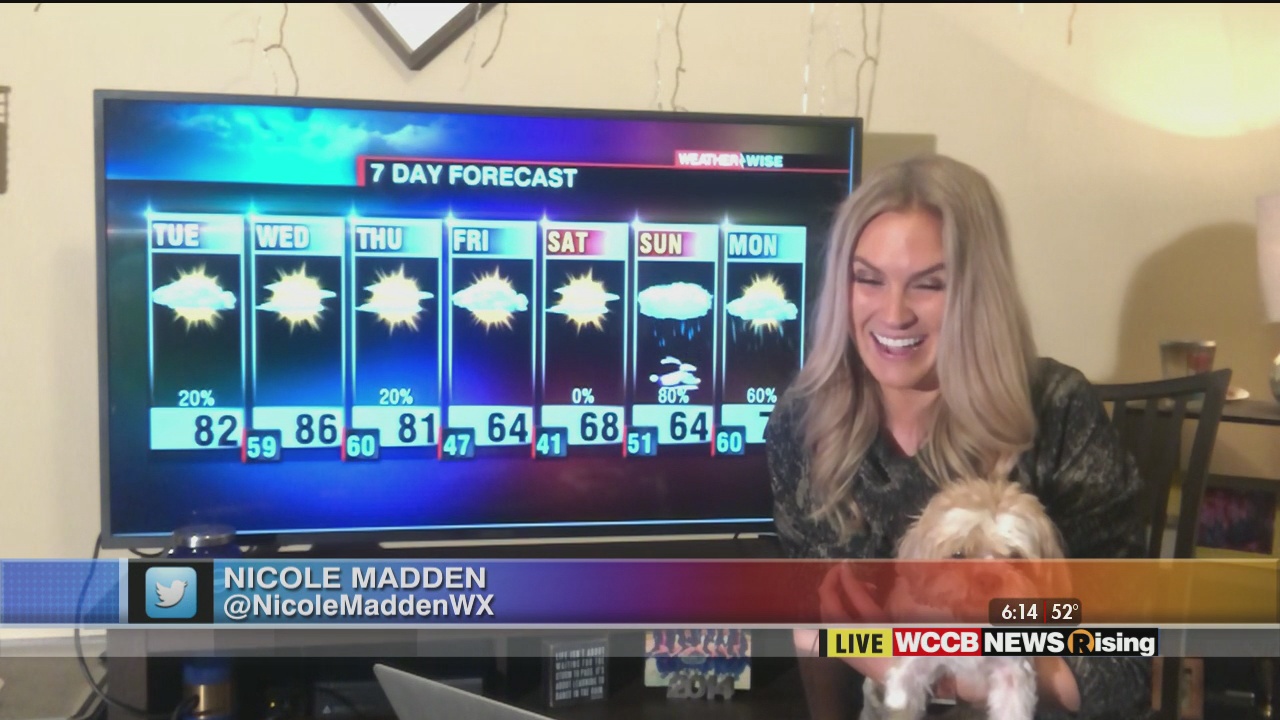 Scattered showers and storms this afternoon. - WCCB Charlotte