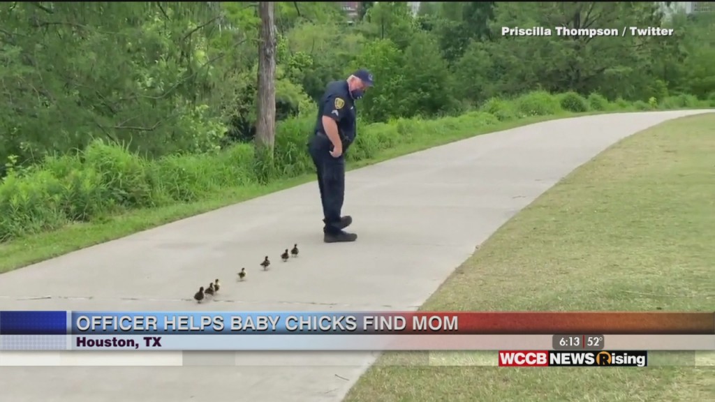 Viral Videos: Officer Helps Ducks, Son Pranks Dad And Fed Ex Driver