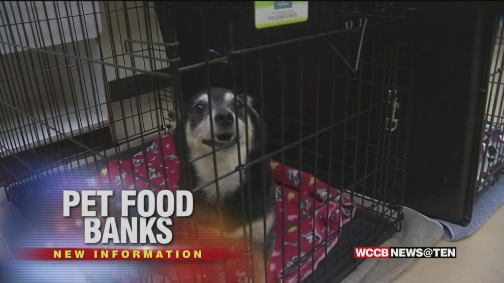 Area Animal Shelters Set Up Pet Food Banks For Families In Need