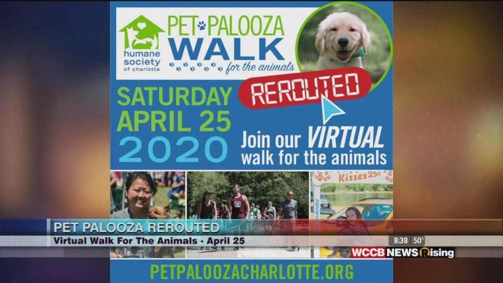 Humane Society Of Charlotte's Annual Pet Palooza Has Been Rerouted