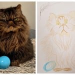 Cat's Name Kafluffle