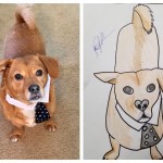 Created By Animal Health Tech Sasha