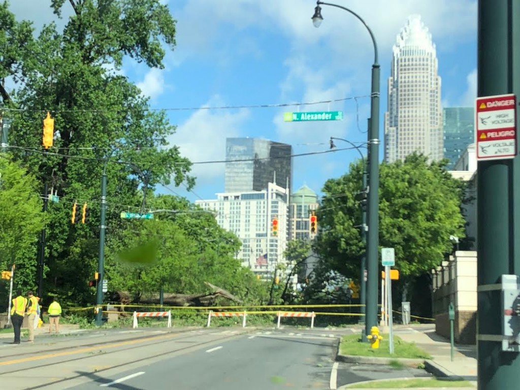 Tree Down Near Uptown Charlotte