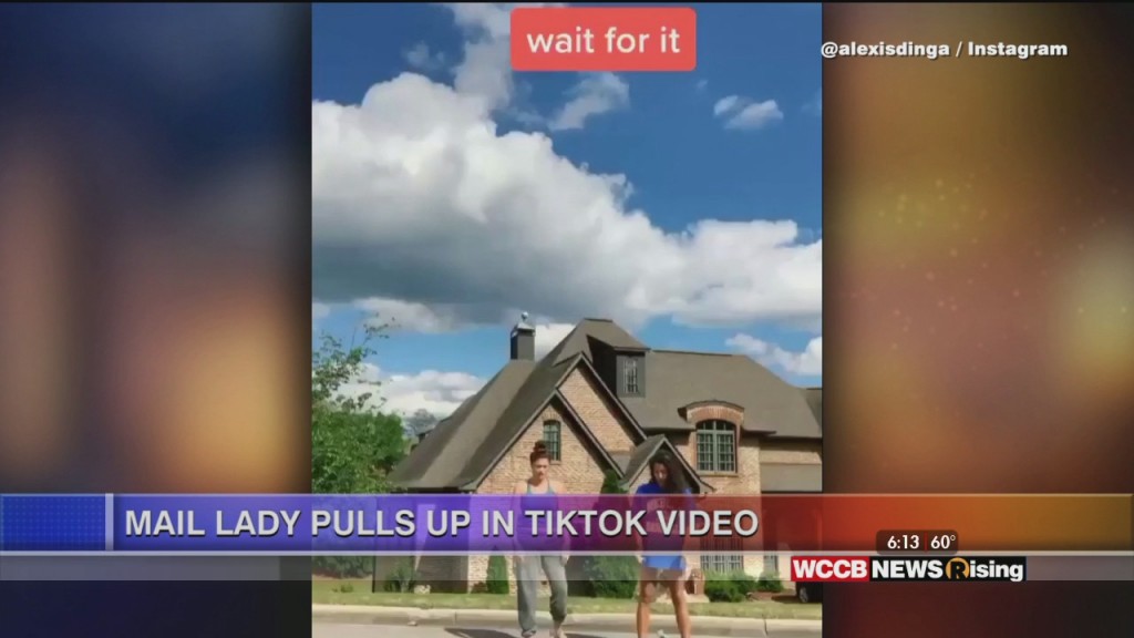 Viral Videos: Gender Reveal And Tiktok Photobomb