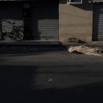 After More Than 12 Hours On The Street The Body Of Da Rocha, Who The Family Said Suffered From Epilepsy Had Not Been Picked Up By Authorities Brazil