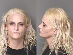 Candice Wall – Larceny – Possession