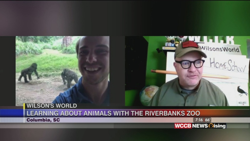 Wilson's World: Getting A Homeschool Lesson From The Riverbanks Zoo In Columbia