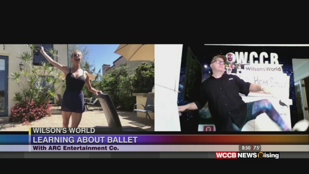 Wilson's World: A Homeschool Lesson With A Homeshool Less With A Performance From The World Of Ballet