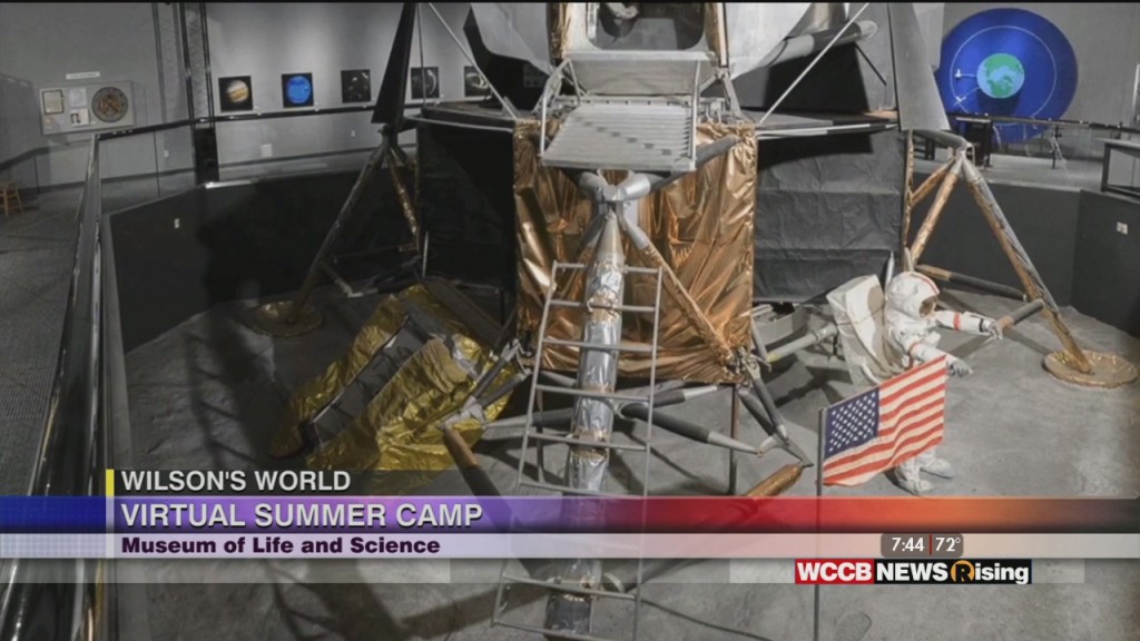 Wilson's World: Stay At Home & Virtual Camps With The Museum Of Life And Sciene In Durham