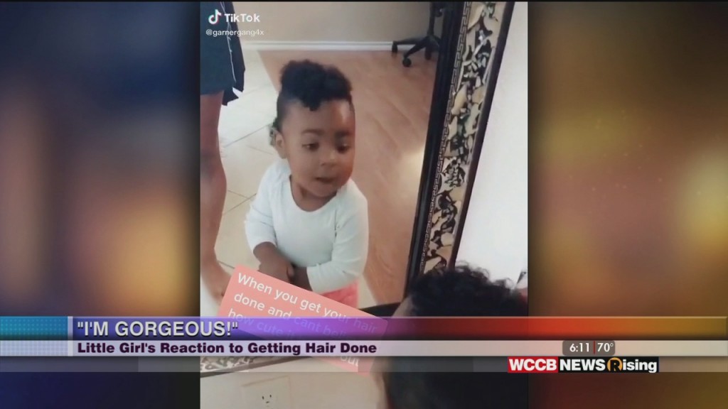 Viral Videos: Dog Scared Of Thunder And Little Girl's Reaction To Getting Hair Done