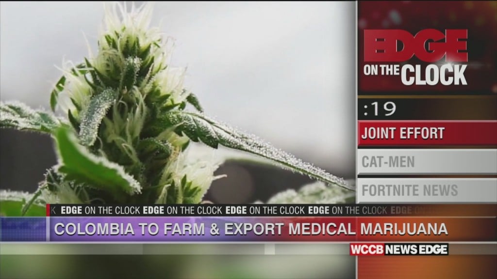 Colombia To Farm And Export Medical Marijuana