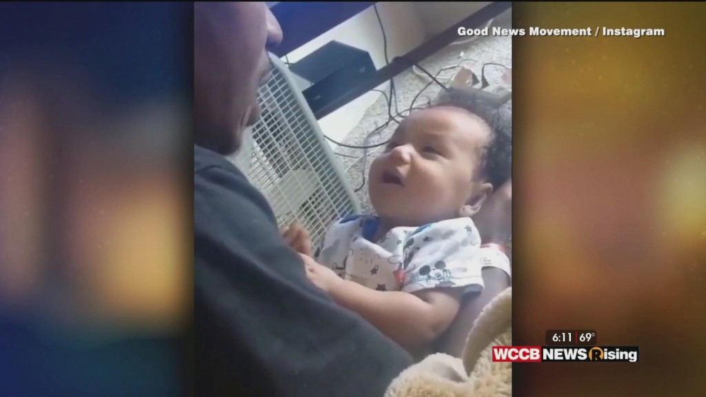 Viral Videos: Baby Says "i Love You" And Dolphin Greets Dogs