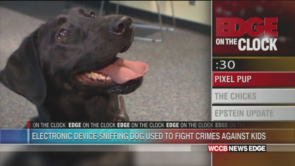 Electronic Device Sniffing Dogs Use To Fight Crimes Against Kids