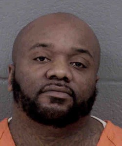 Michael Marble Other Free Text