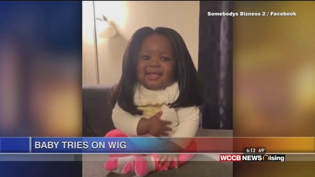 Viral Videos: Dog Apologizes To Brother And Baby Tries On Wig